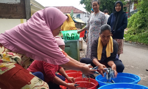 harmony alam indonesia (1)