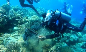 harmonyalamindonesia_ambon (1) (12) (6) (2)